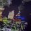 waterfront pontianak