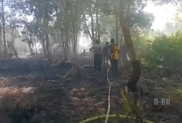 kebakaran lahan