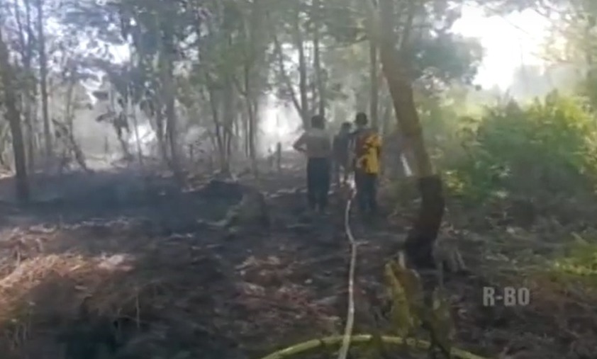 kebakaran lahan