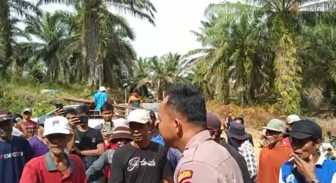 PT RAP