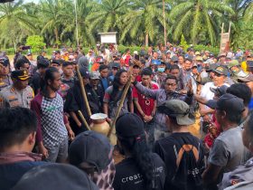 segel perusahaan