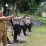 latihan menembak