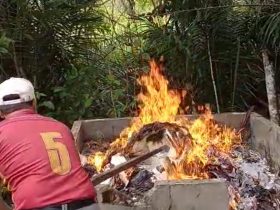bakar ijazah