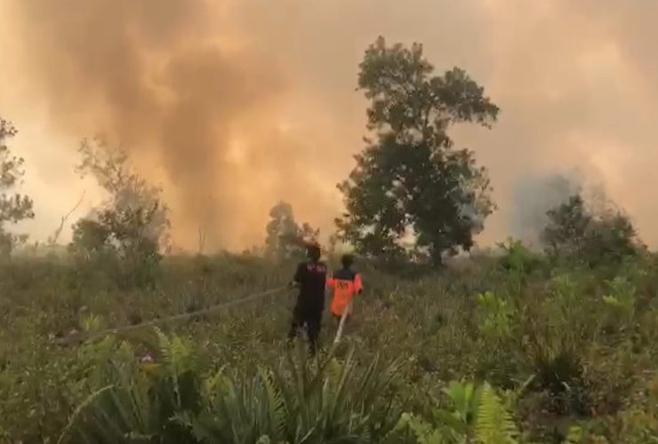 kebakaran di Serdam