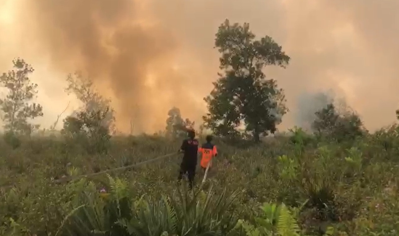 kebakaran di Serdam