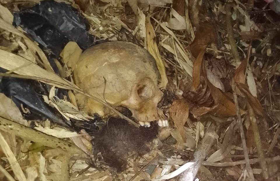 penemuan tengkorak