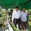 bonsai pontianak