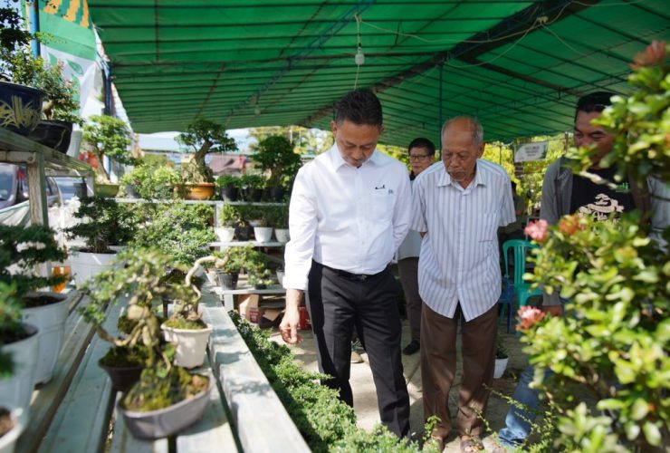 bonsai pontianak