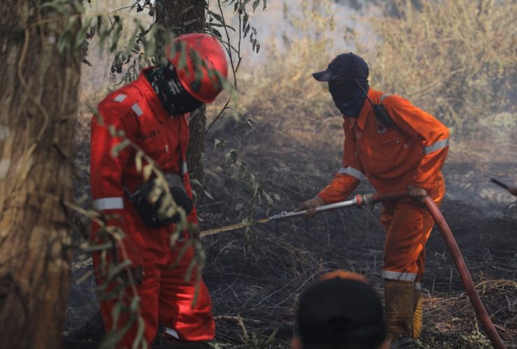 lahan terbakar di pontianak