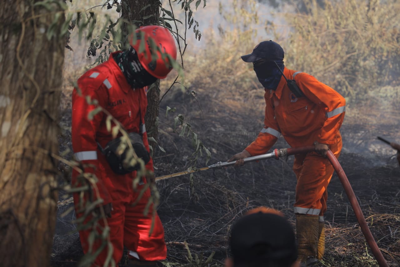 lahan terbakar di pontianak