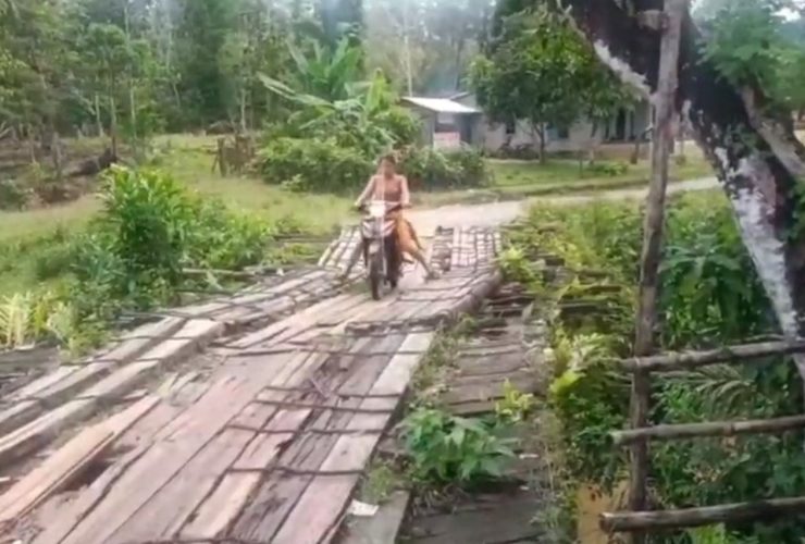 jembatan kayu