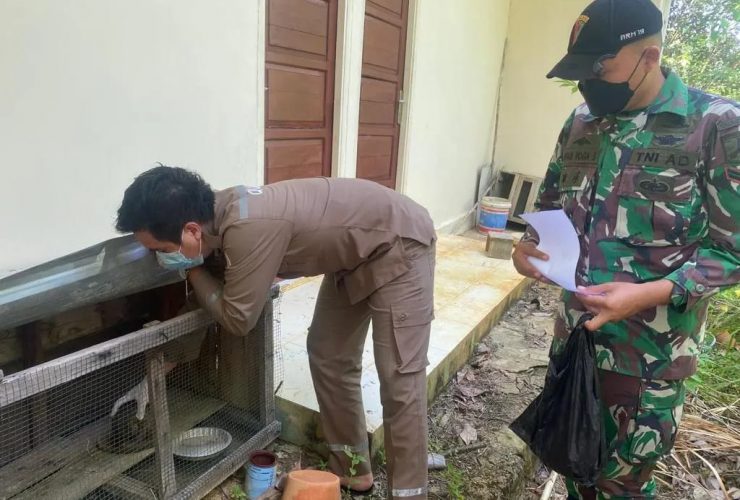 trenggiling langka