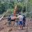 perusahaan sawit garap hutan adat