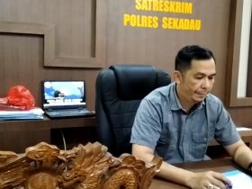 kasus seksual anak