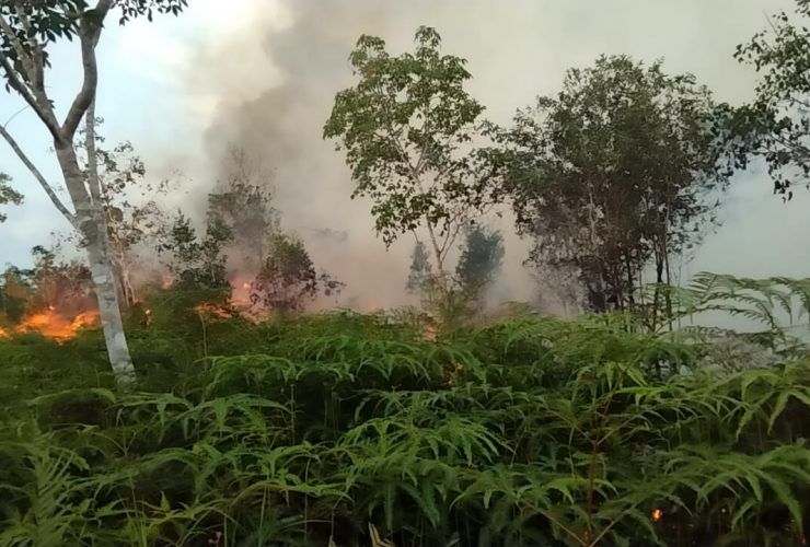 karhutla di Sambas
