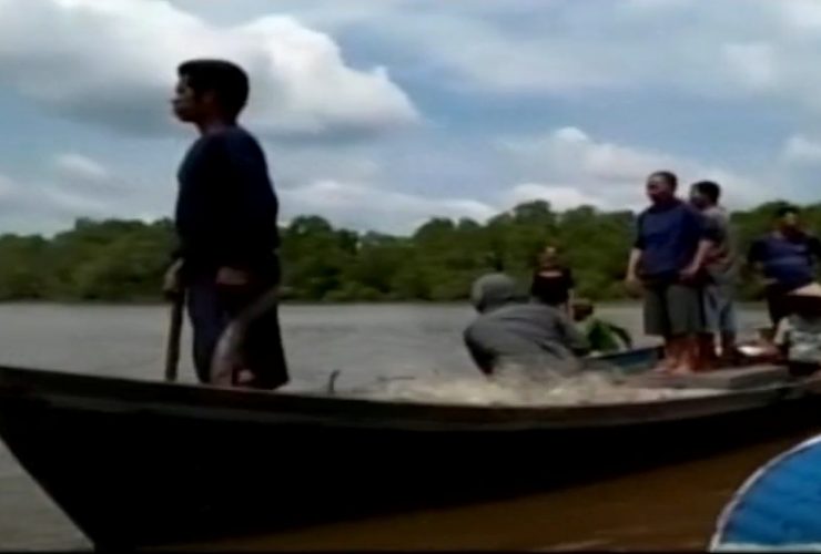buaya terkam bocah