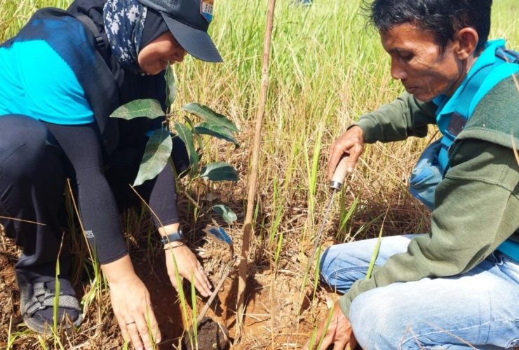 menanam pohon